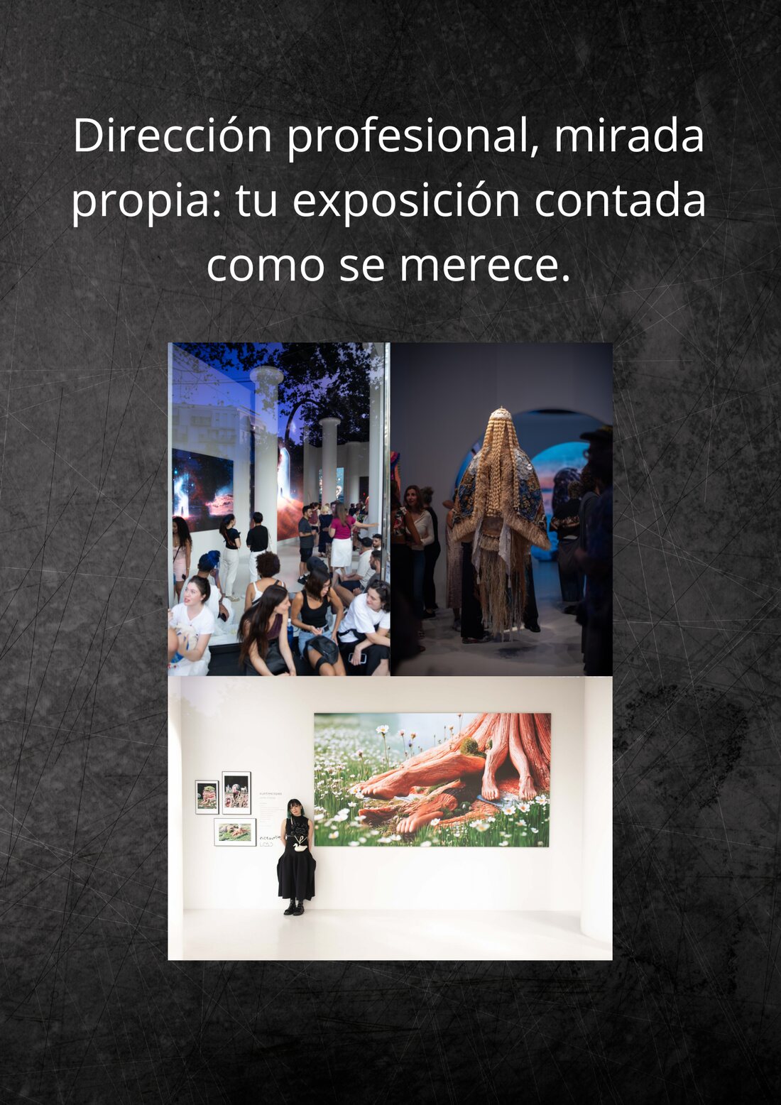 Dirección profesional, mirada propia: tu exposición contada como se merece.